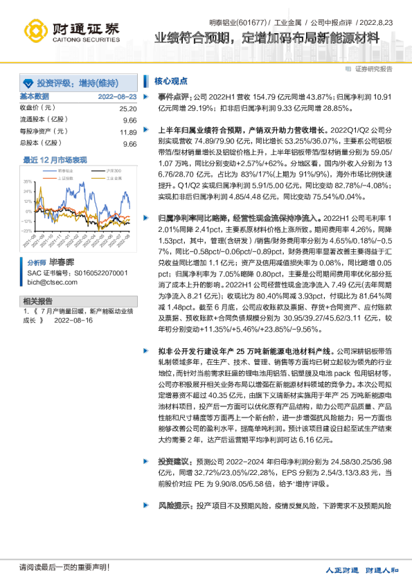 业绩符合预期，定增加码布局新能源材料