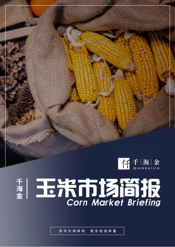 玉米市场简报