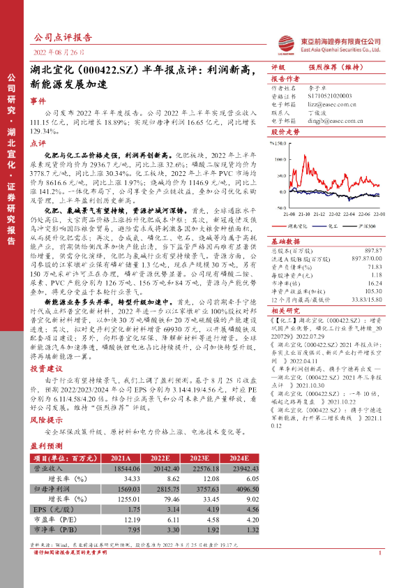 利润新高，新能源发展加速