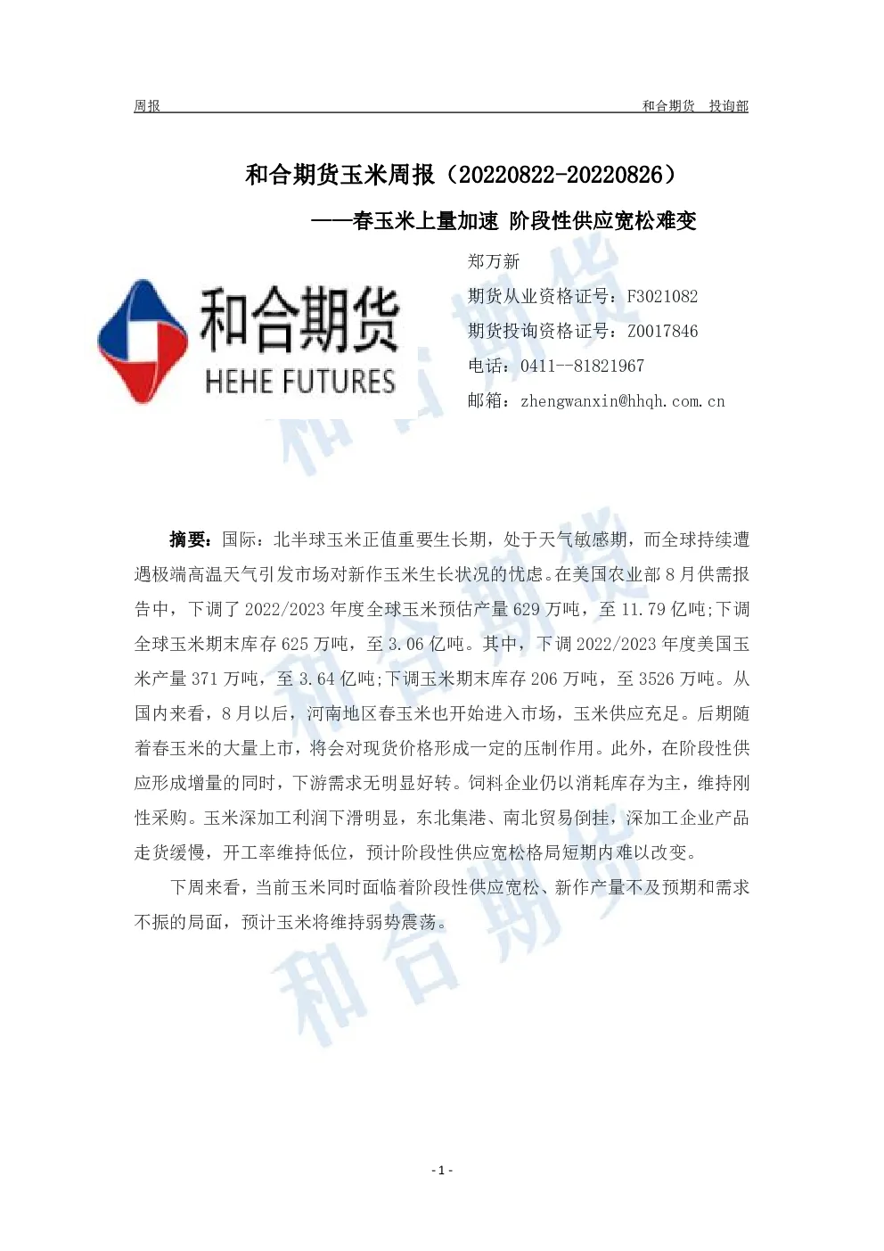 报告封面