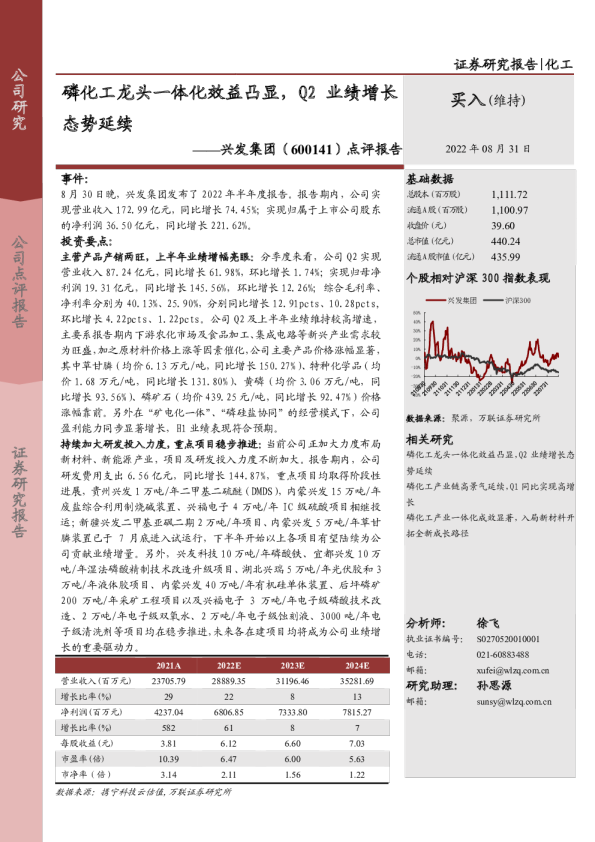 点评报告：磷化工龙头一体化效益凸显，Q2业绩增长态势延续