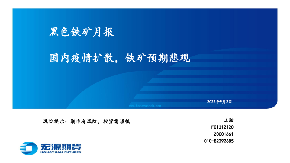 黑色铁矿月报：国内疫情扩散，铁矿预期悲观