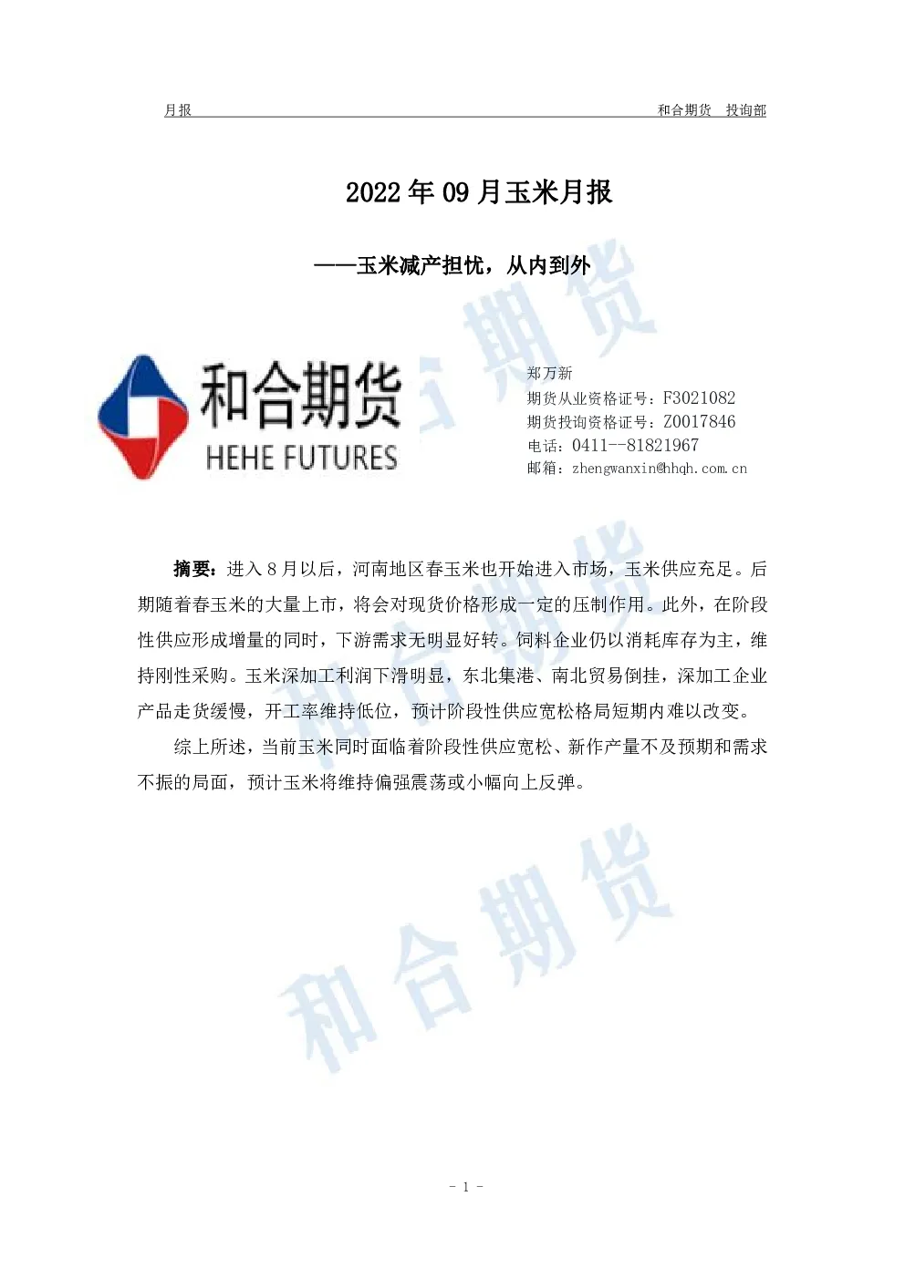 报告封面