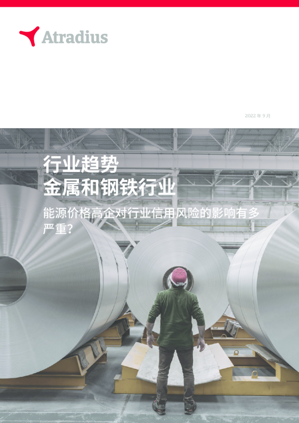 荷兰行业趋势报告: 金属和钢铁 2022