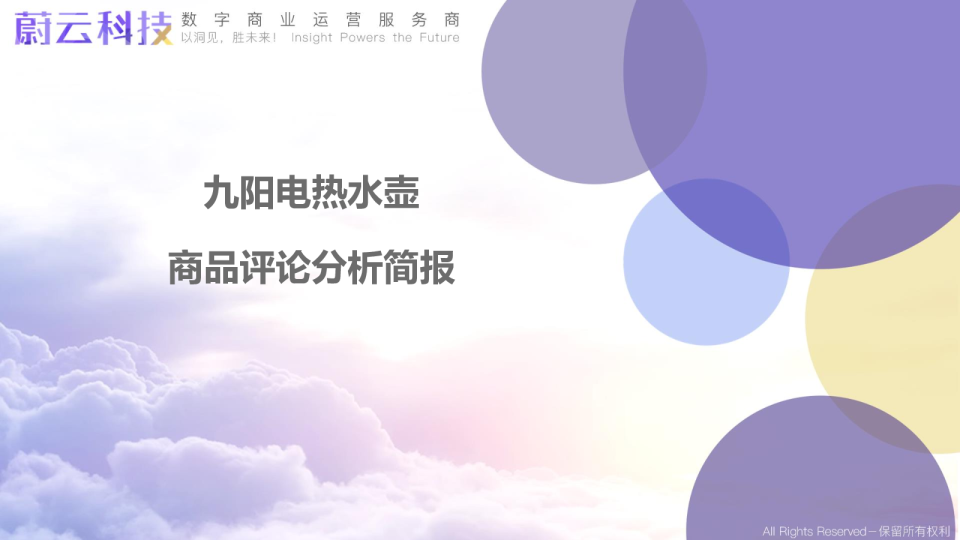 九阳电热水壶分析简报