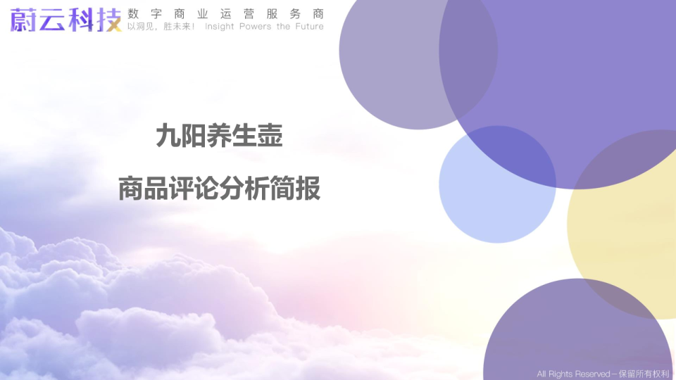 九阳养生壶分析简报