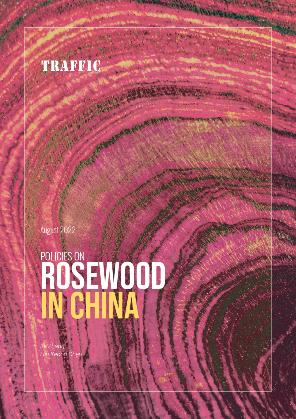 Policies on Rosewood in China