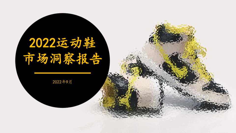 2022运动鞋市场洞察报告