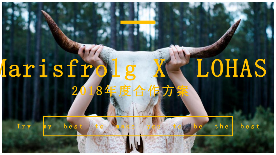 玛丝菲尔XLOHAS媒体策划案
