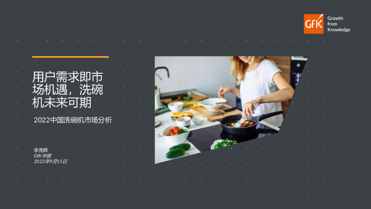 2022中国洗碗机市场分析