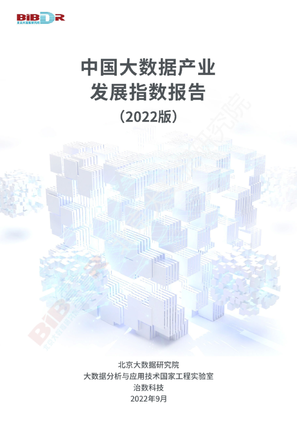 2022中国大数据产业发展指数报告