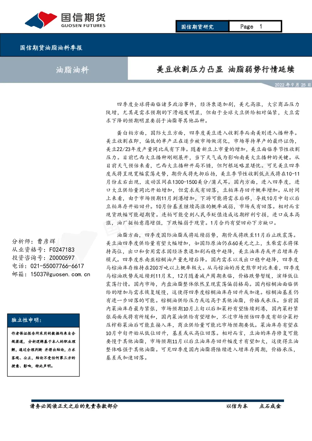 报告封面