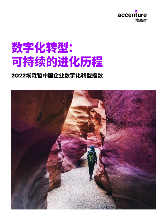 2022中国企业数字化转型指数