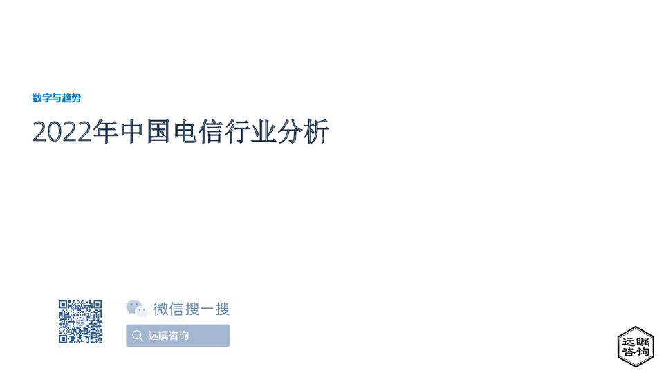 2022年中国电信行业分析