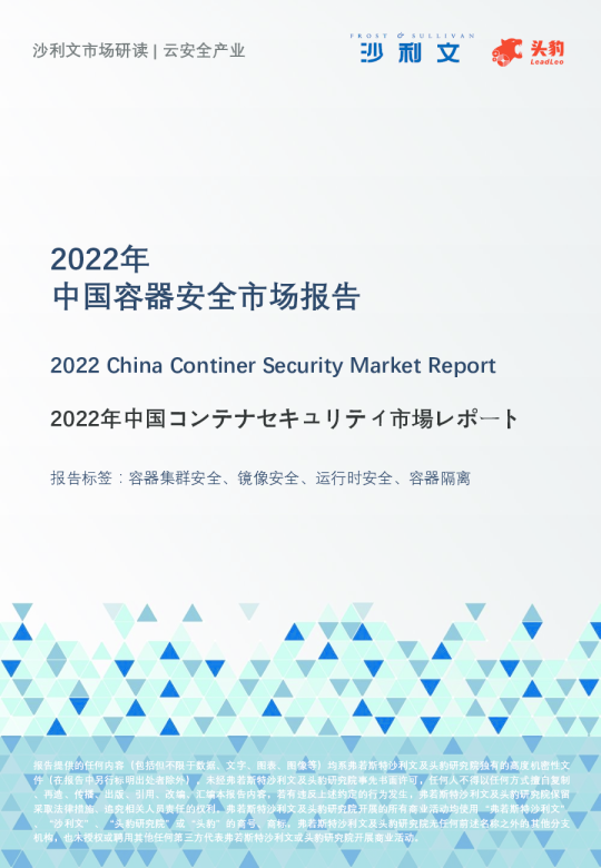2022年中国容器安全市场报告