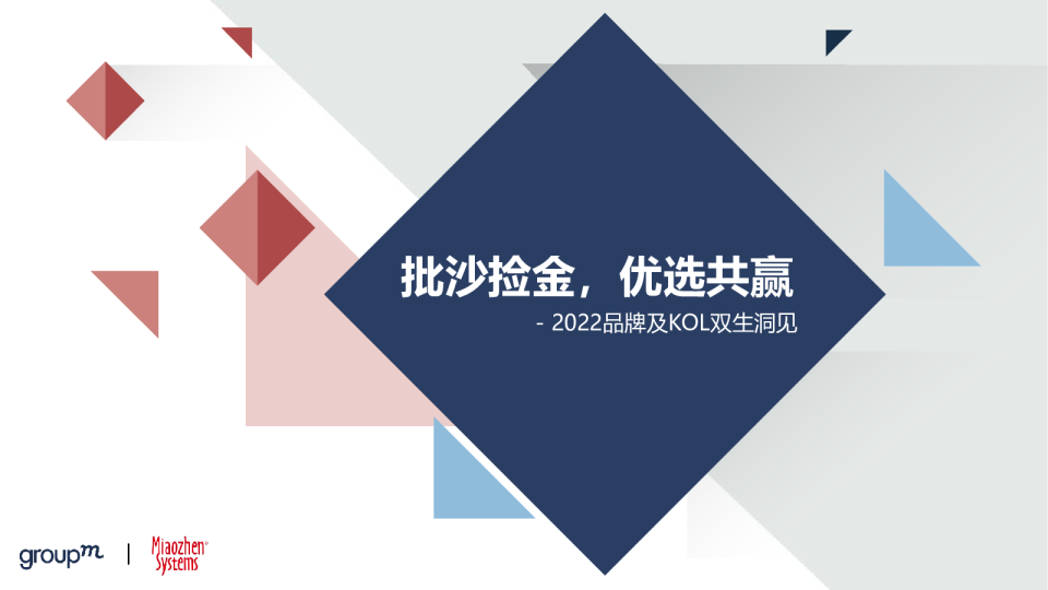 2022品牌及KOL研究报告