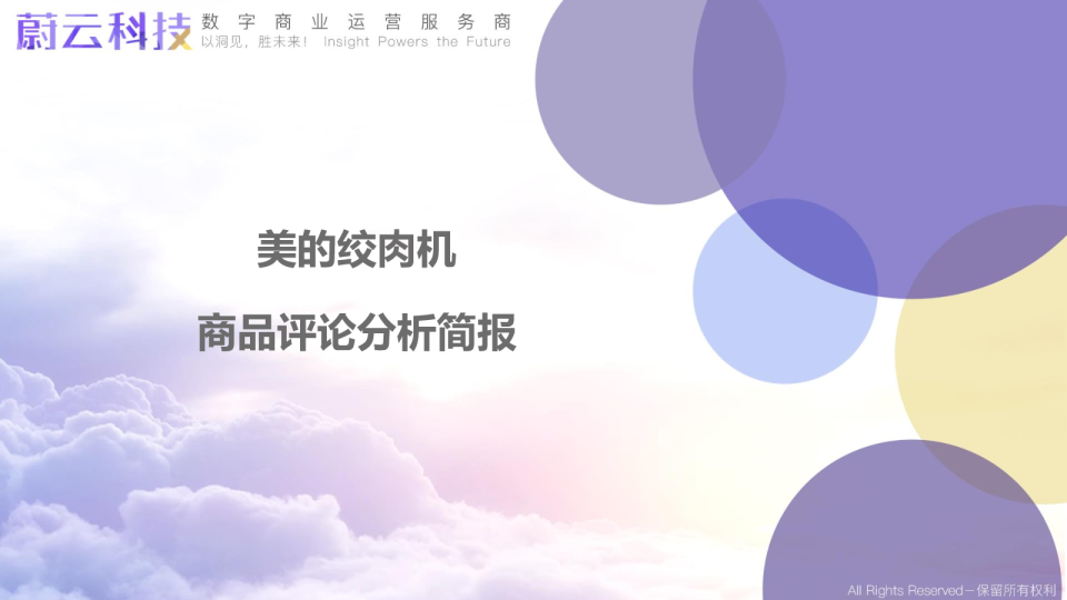 215-美的绞肉机分析简报