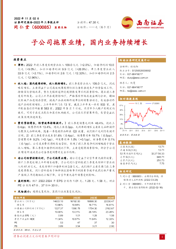 子公司拖累业绩，国内业务持续增长
