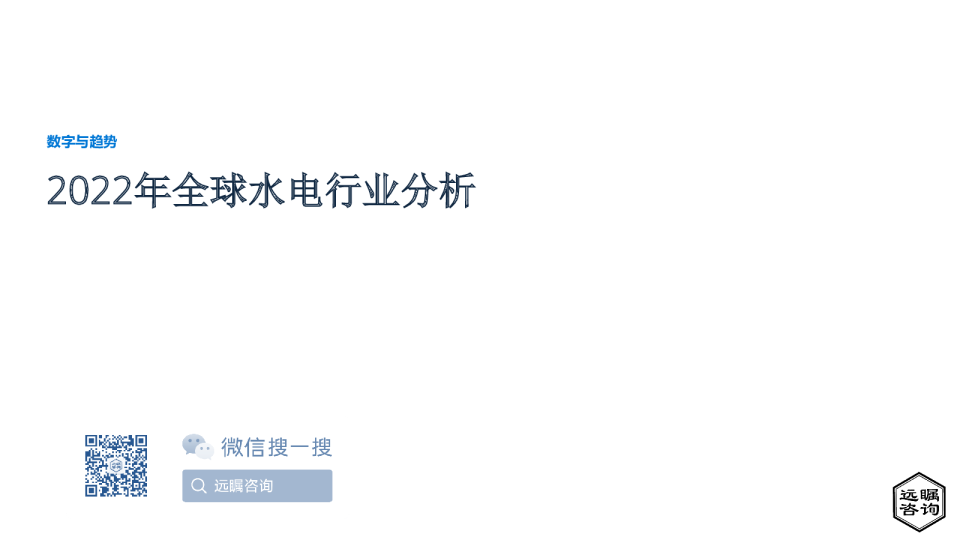 2022年全球水电行业分析
