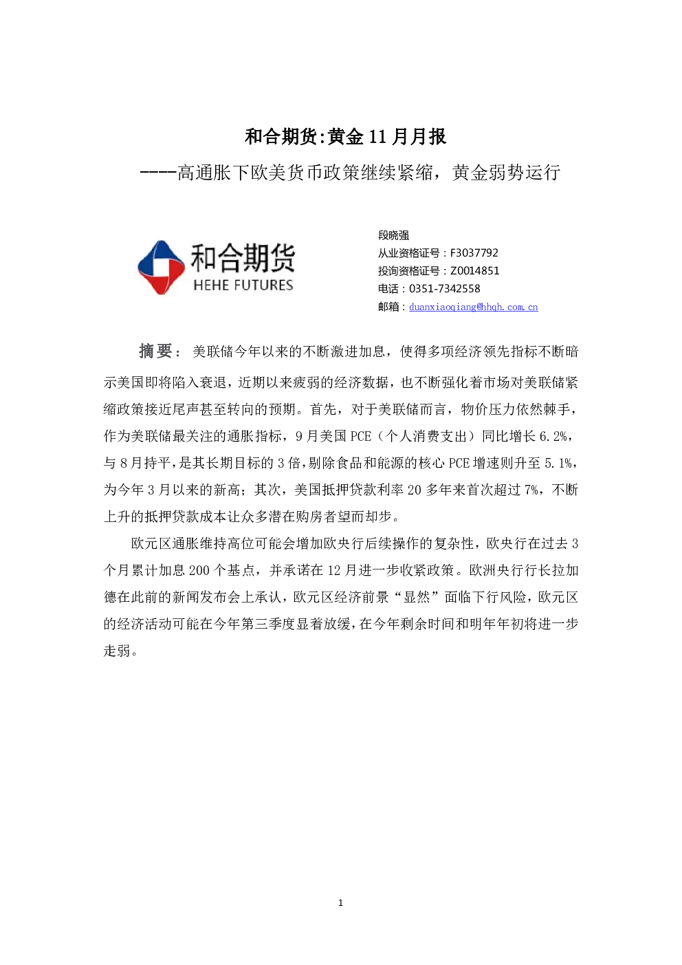报告封面