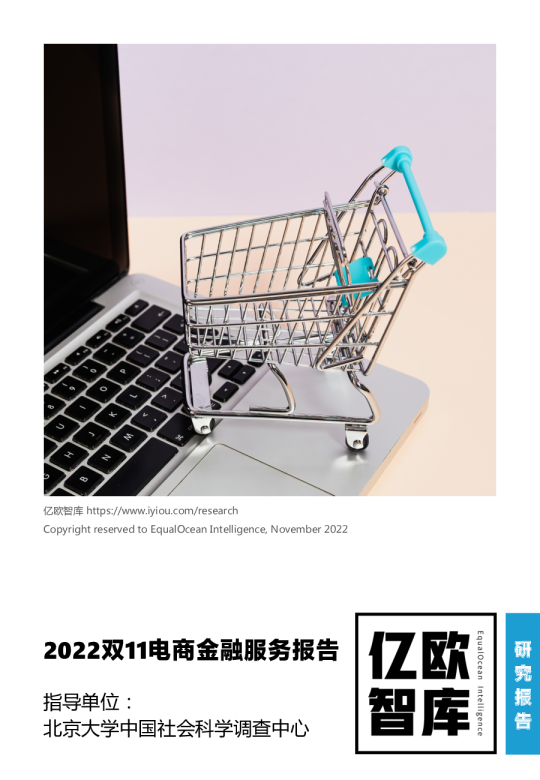 2022双11电商金融服务报告