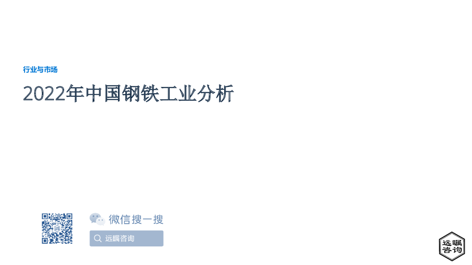 2022年中国钢铁工业分析