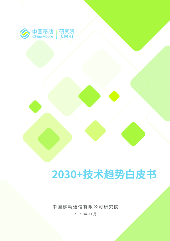 2030+技术趋势白皮书