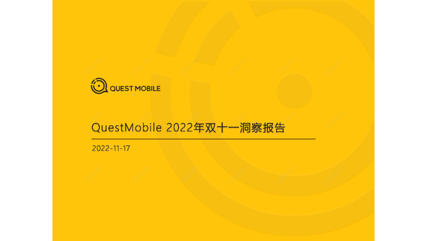 2022年双11洞察报告