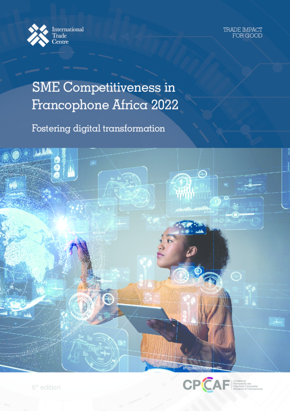 2022年法语非洲小微型企业竞争力：促进数字化转型