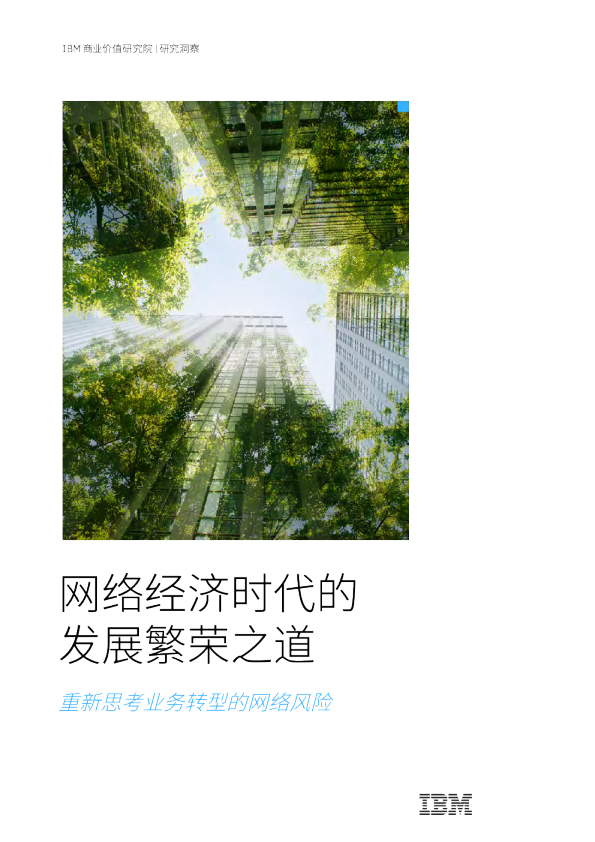 重新思考业务转型的网络风险：网络经济时代的发展繁荣之道