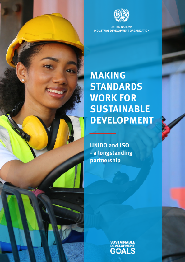 使标准为可持续发展服务