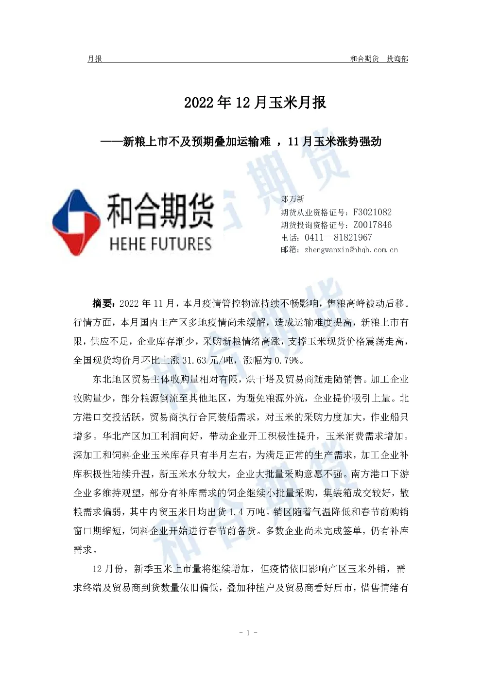 报告封面