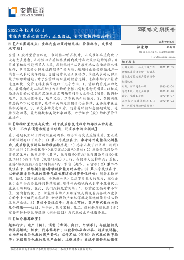 策略定期报告：重振内需是必由之路：正在验证，如何把握弹性品种？