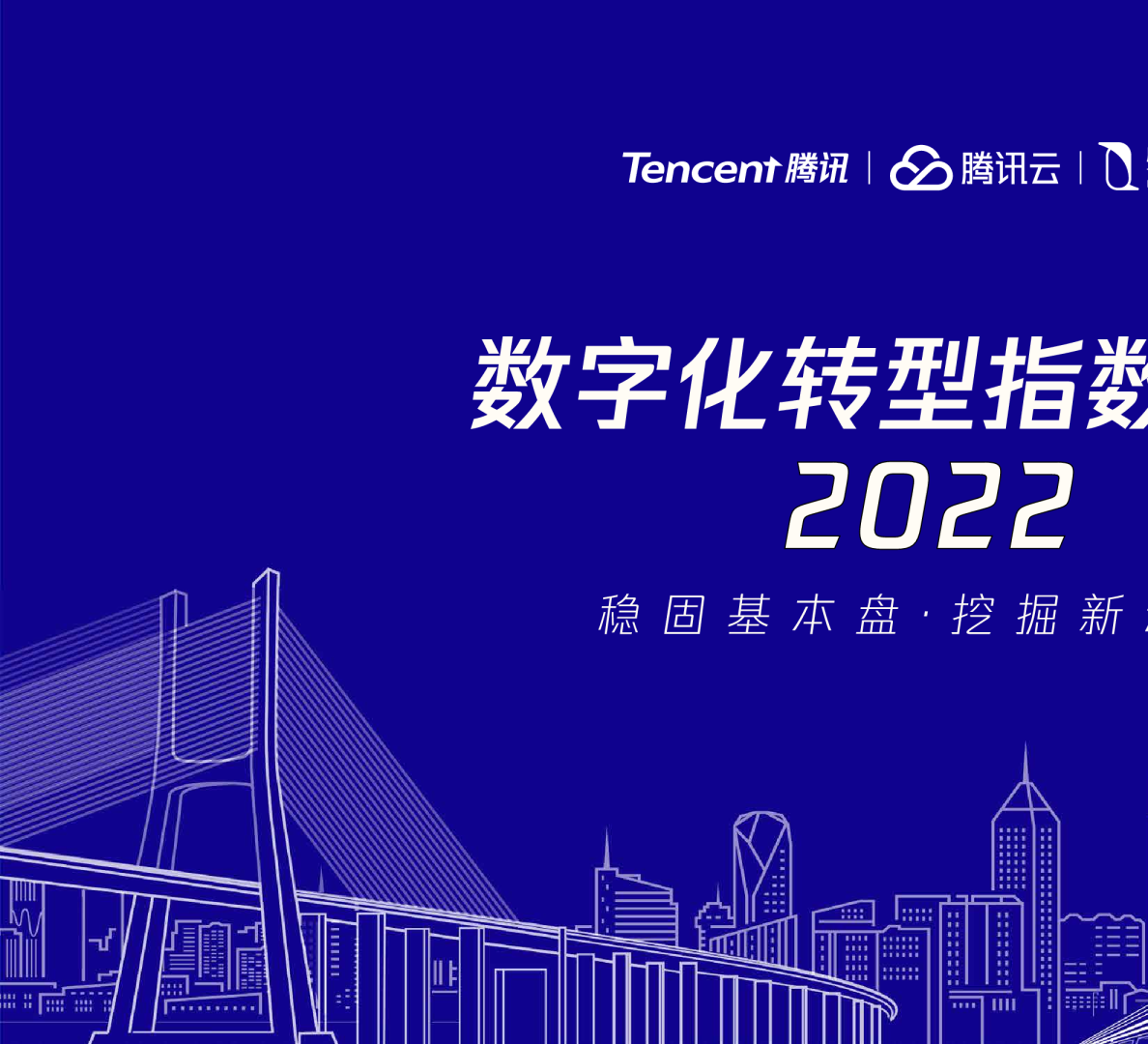 2022数字化转型指数年度报告