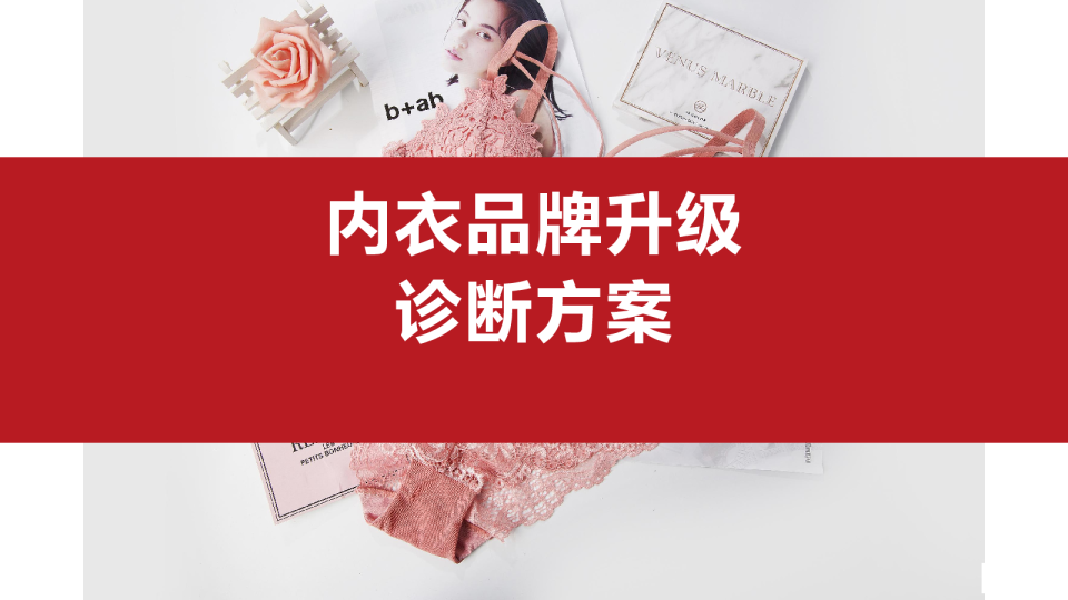 猫人品牌诊断方案