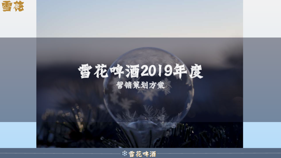 雪花啤酒年度营销策划方案
