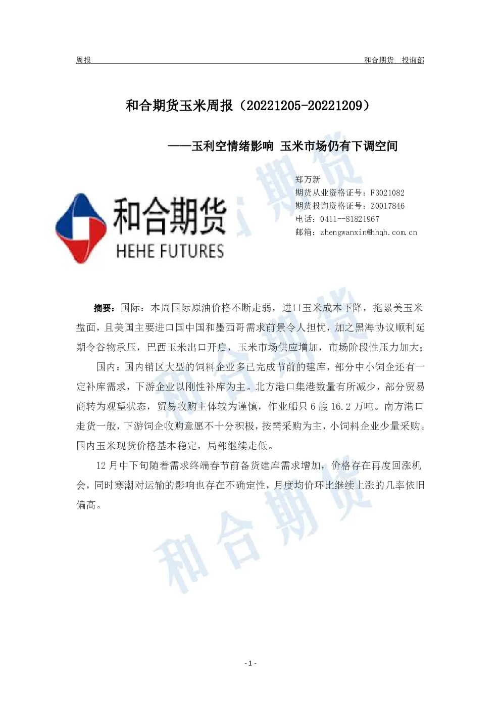报告封面