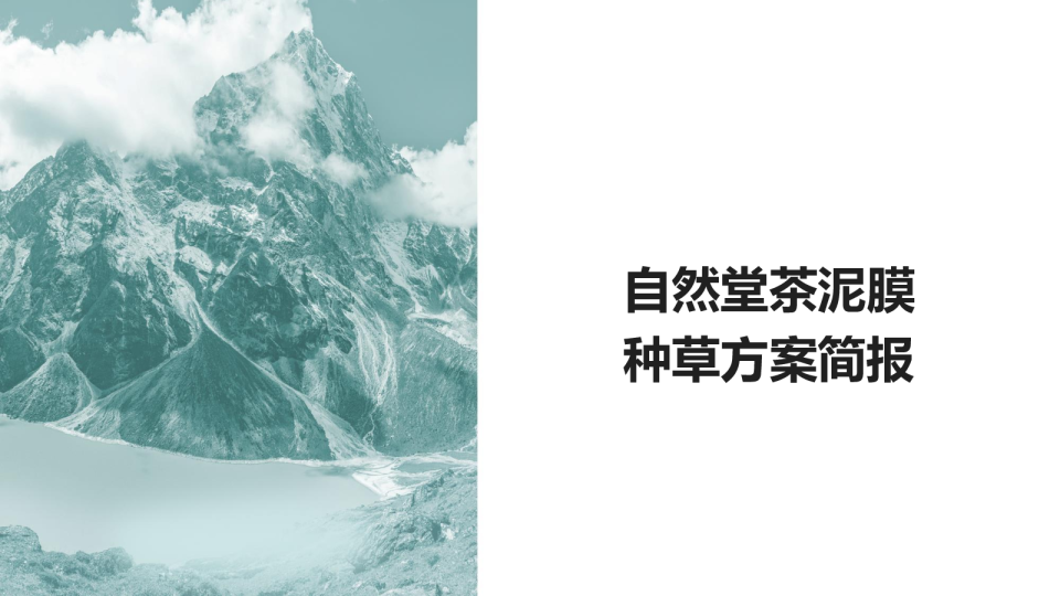 茶泥膜种草方案brief