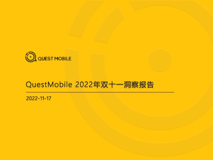 2022双十一洞察报告