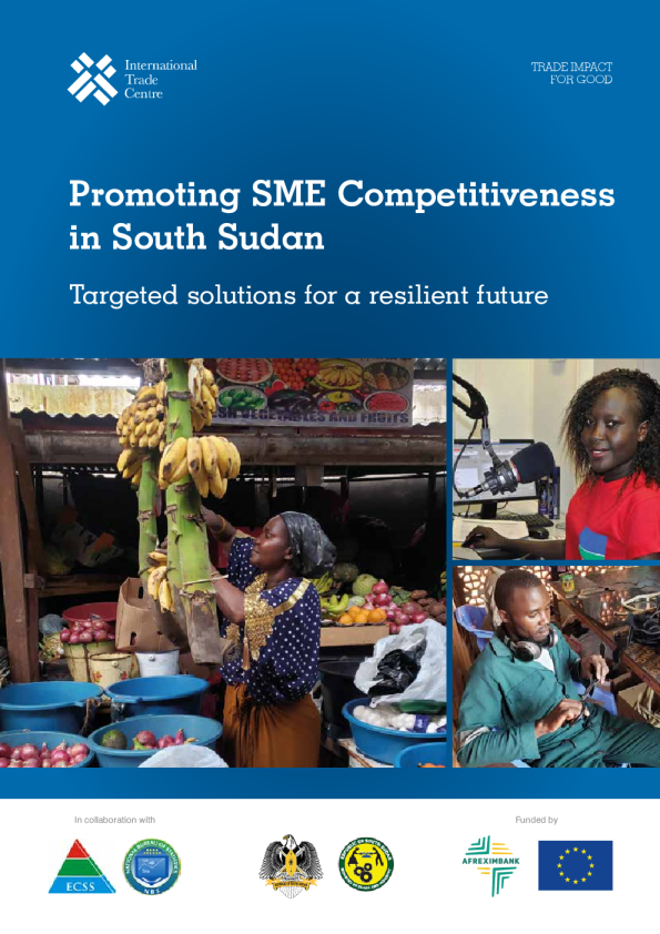 推动南苏丹中小企业竞争力：面向韧性未来的定向解决方案