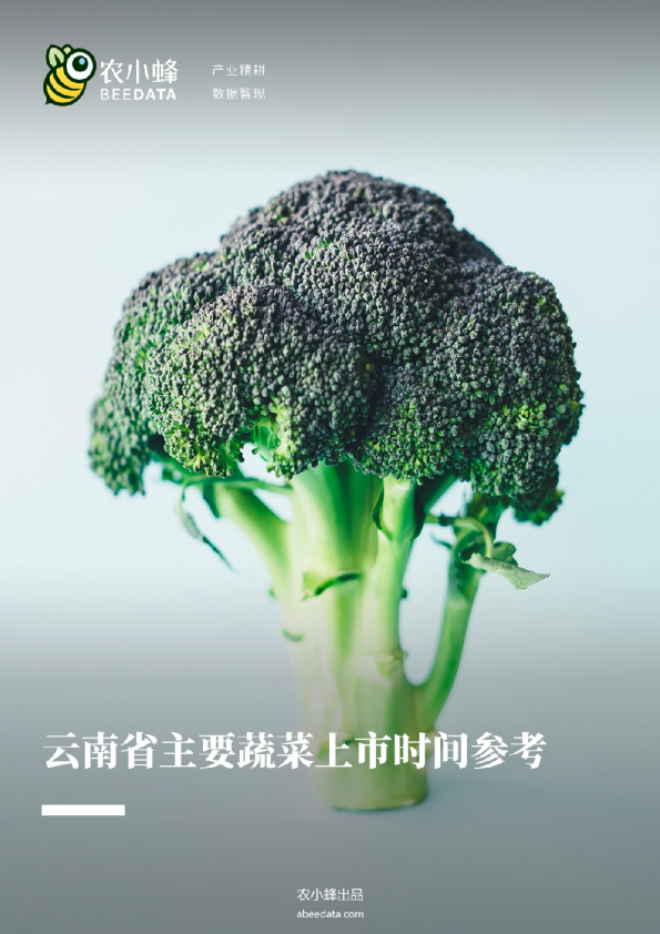 云南省主要蔬菜上市时间参考