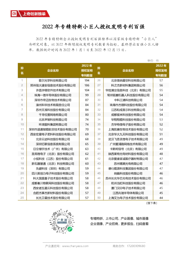 2022年专精特新小巨人授权发明专利百强