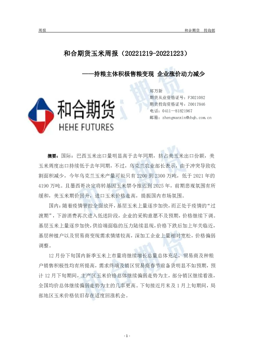 报告封面
