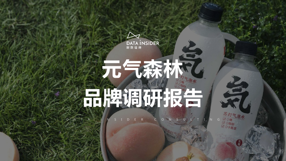 元气森林品牌调研报告