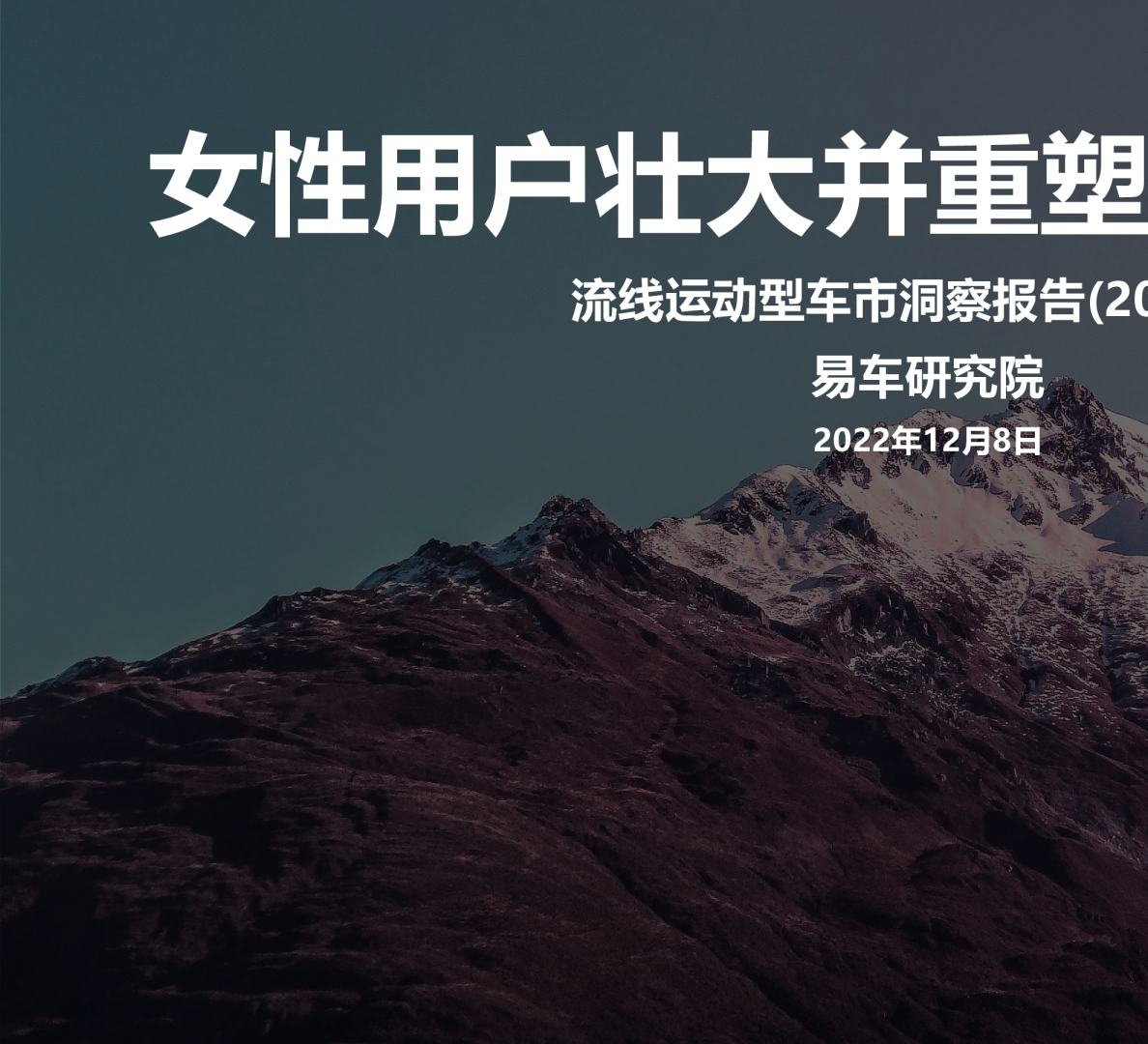 2023流线运动型车市洞察报告