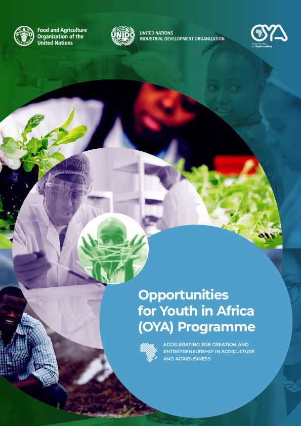 非洲青年机会方案