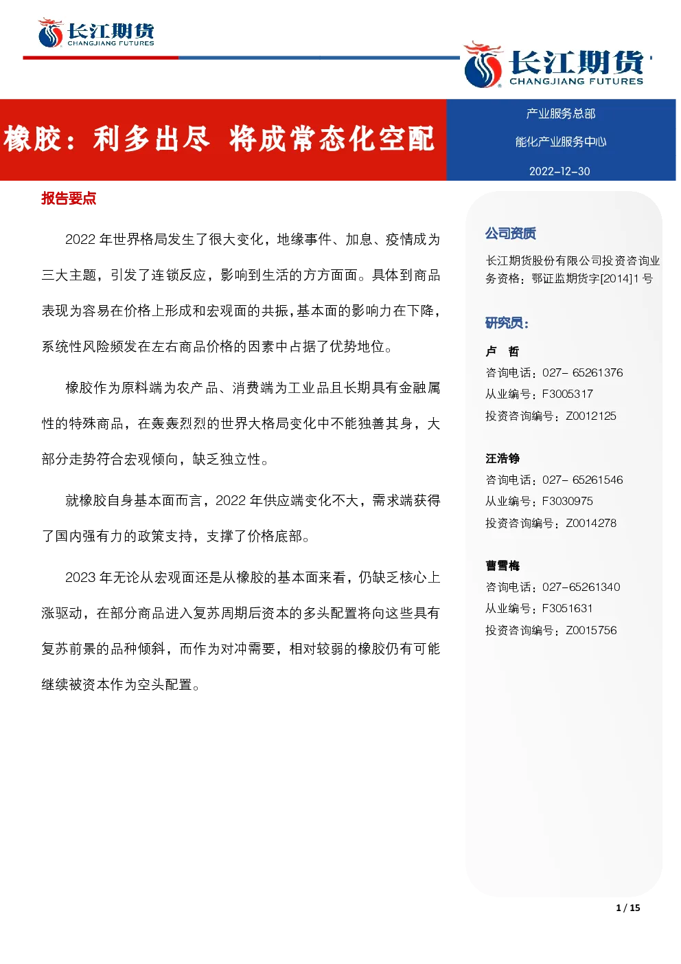 报告封面