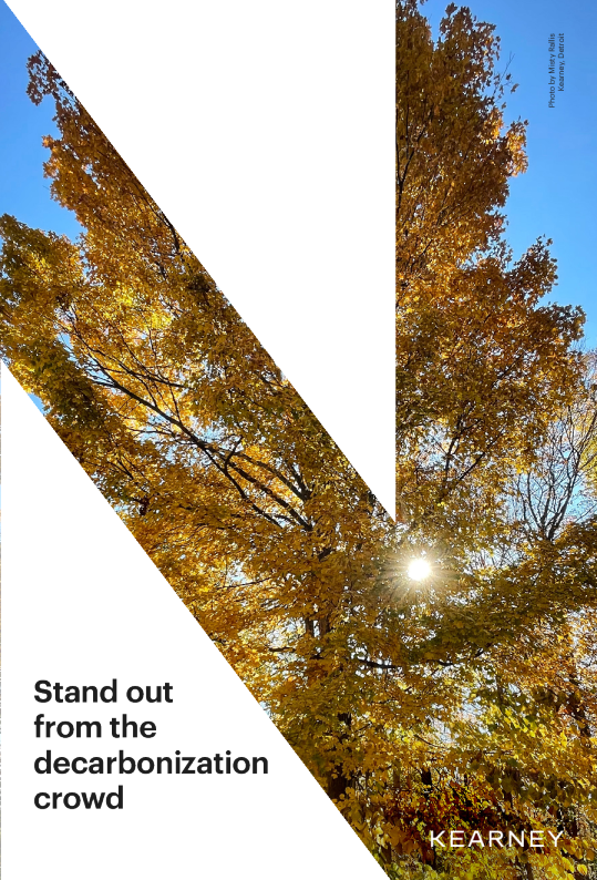 从脱碳人群中脱颖而出