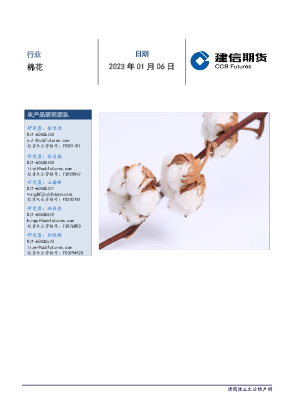 棉花每日报告
