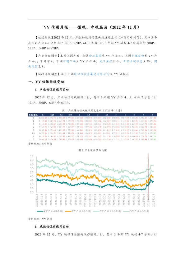 YY信用月报：微观、中观层面（2022年12月）